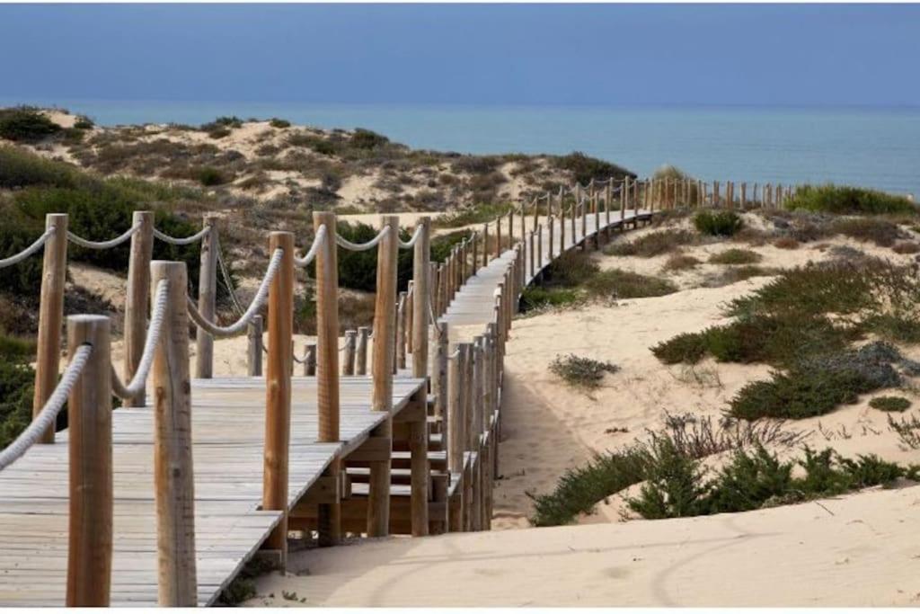 Sea Of Rome - Holiday Home Lido di Ostia Exterior foto